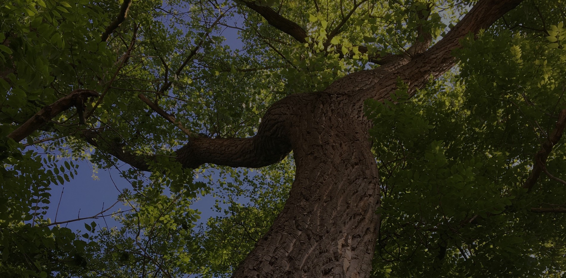 La NATURE est ma MAISON et mon ESPACE de VIE